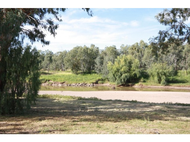 49 Riverside Drive, Narrabri NSW 2390