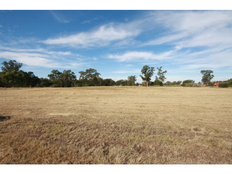 49 Riverside Drive, Narrabri NSW 2390