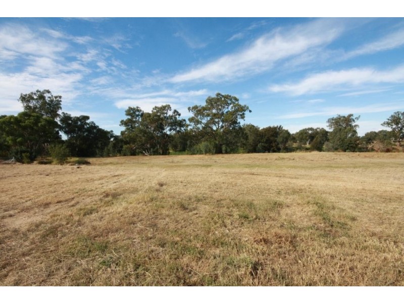 49 Riverside Drive, Narrabri NSW 2390
