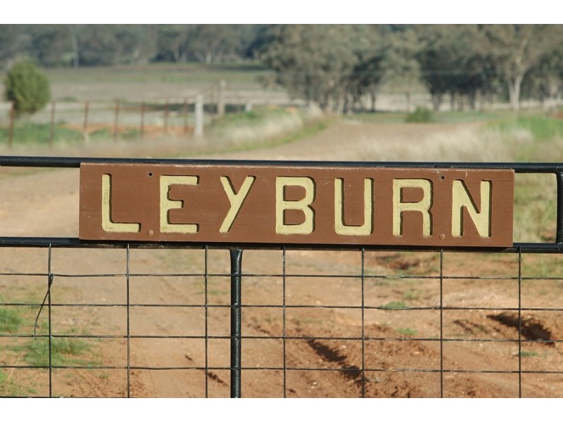 Leyburn Valley Estate Beeson Rd, Gunnedah NSW 2380