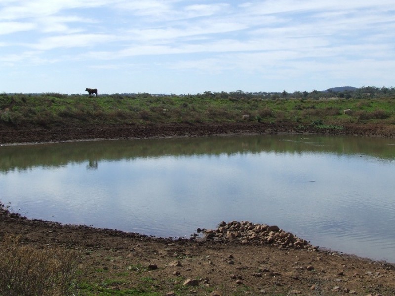 Leyburn Valley Estate Beeson Rd, Gunnedah NSW 2380