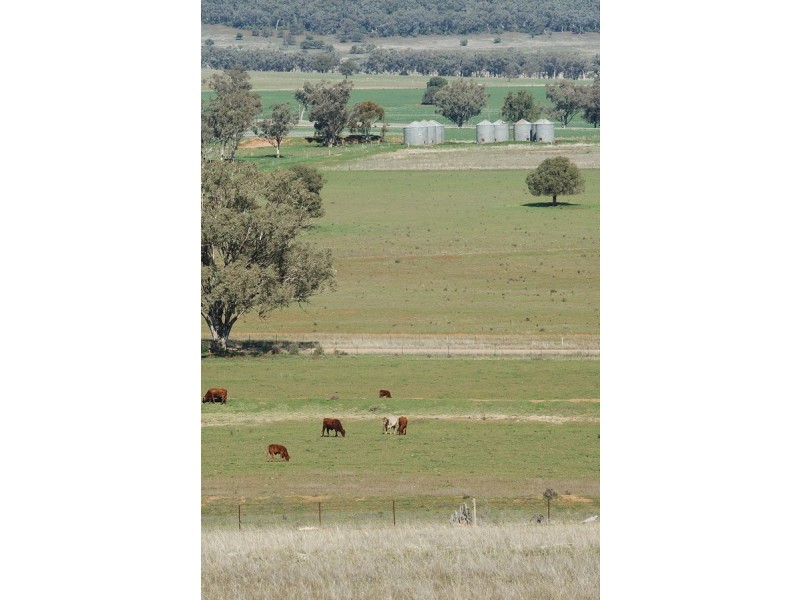 Leyburn Valley Estate Beeson Rd, Gunnedah NSW 2380
