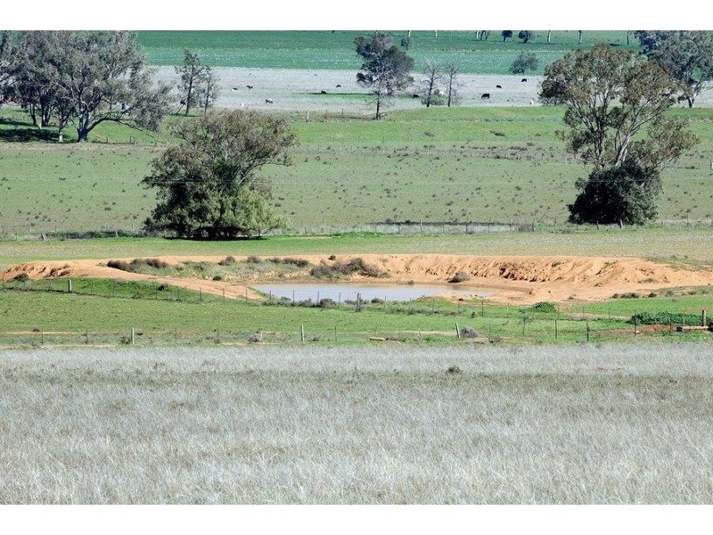 Leyburn Valley Estate Beeson Rd, Gunnedah NSW 2380