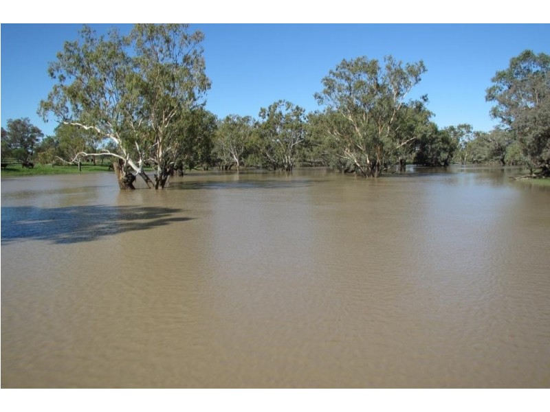 Glen Acre Aggregation, Walgett NSW 2832