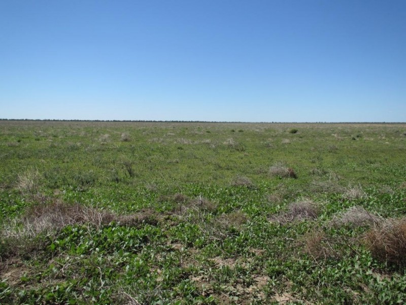 Glen Acre Aggregation, Walgett NSW 2832