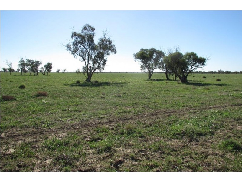 Glen Acre Aggregation, Walgett NSW 2832
