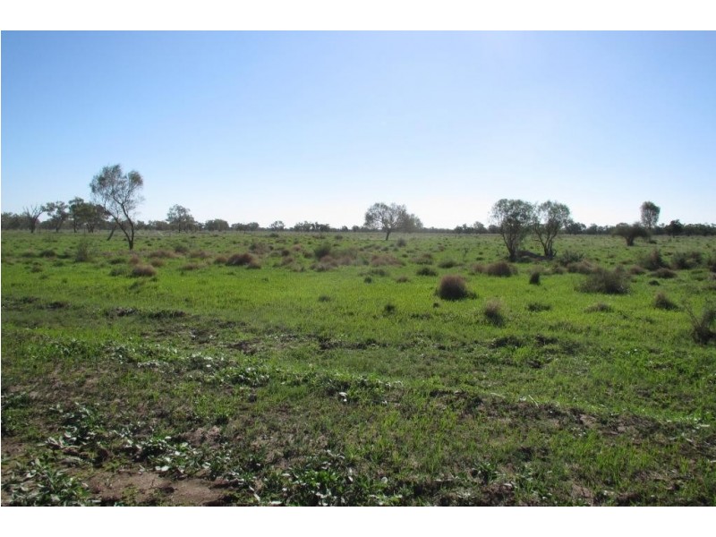 Glen Acre Aggregation, Walgett NSW 2832