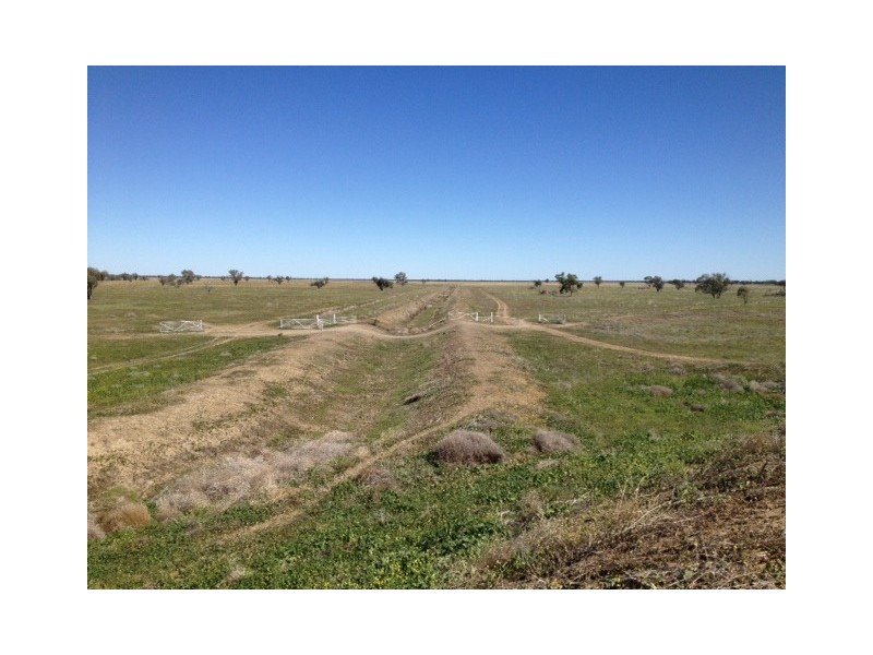 Glen Acre Aggregation, Walgett NSW 2832