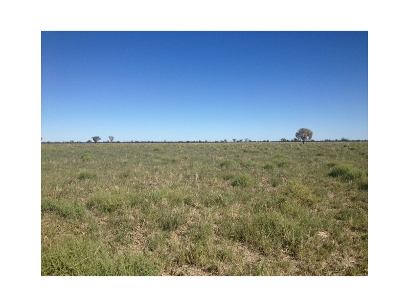 Glen Acre Aggregation, Walgett NSW 2832