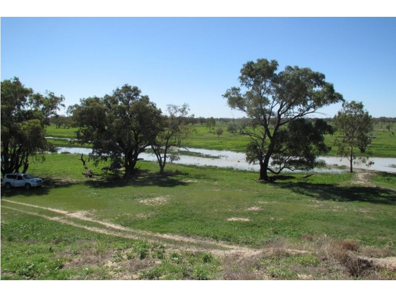 Glen Acre Aggregation, Walgett NSW 2832