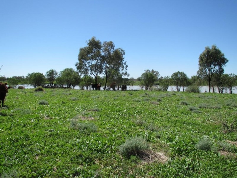 Glen Acre Aggregation, Walgett NSW 2832
