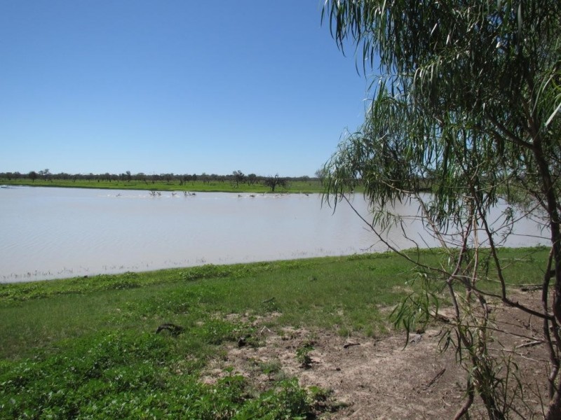 Glen Acre Aggregation, Walgett NSW 2832