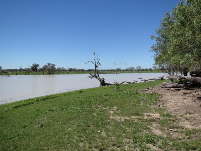 Glen Acre Aggregation, Walgett NSW 2832