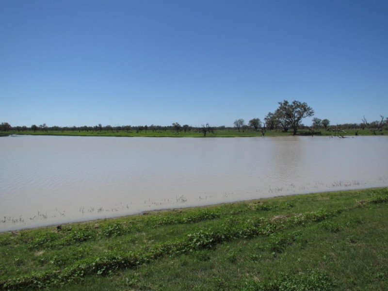 Glen Acre Aggregation, Walgett NSW 2832