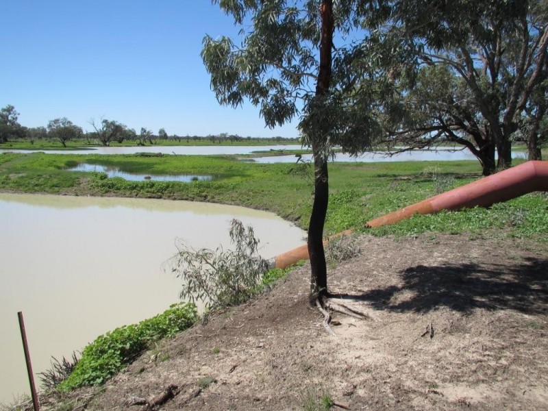 Glen Acre Aggregation, Walgett NSW 2832