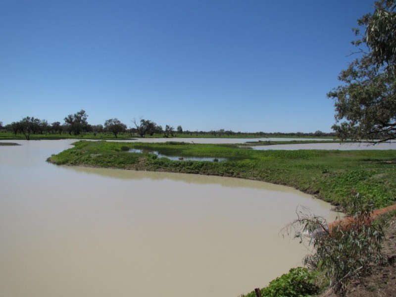 Glen Acre Aggregation, Walgett NSW 2832