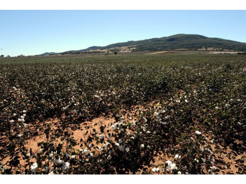 556 Goscomb Rd, Milroy NSW 2380