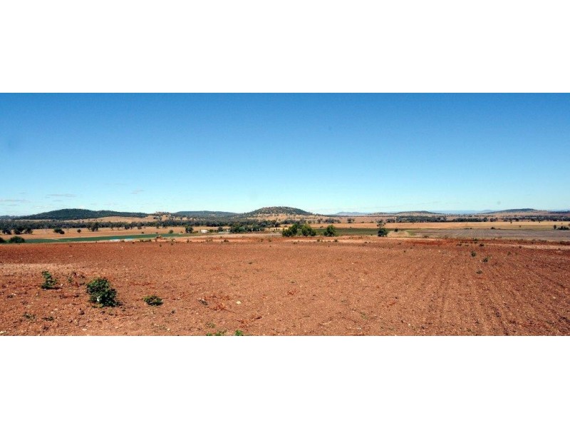 556 Goscomb Rd, Milroy NSW 2380