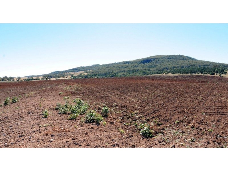 556 Goscomb Rd, Milroy NSW 2380