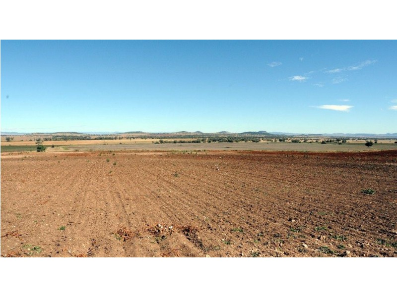 556 Goscomb Rd, Milroy NSW 2380