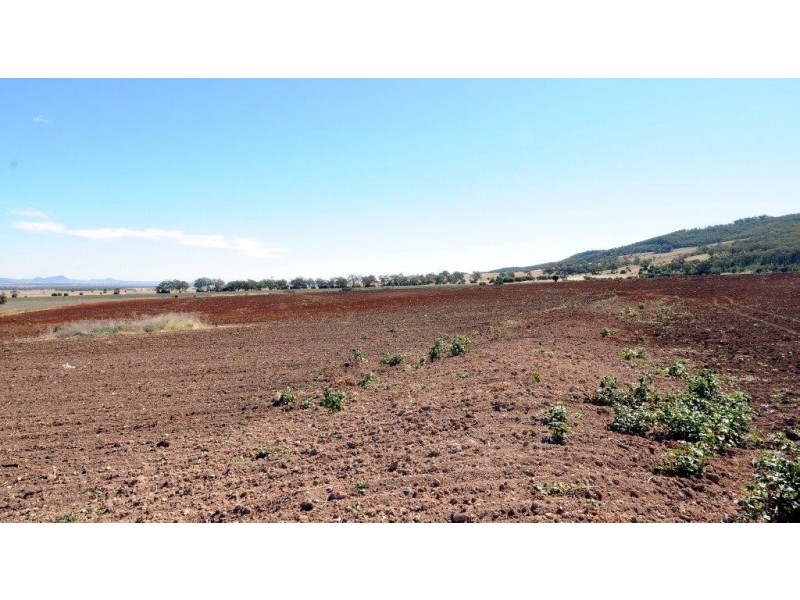 556 Goscomb Rd, Milroy NSW 2380