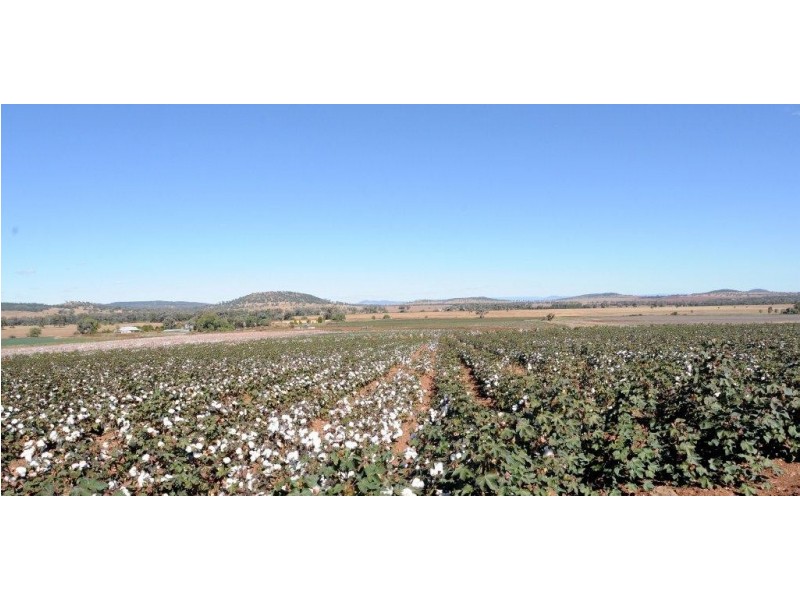 556 Goscomb Rd, Milroy NSW 2380