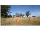 300 Kaputar Road, Narrabri NSW 2390