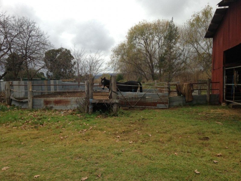 26 Andrew Street, Quirindi NSW 2343
