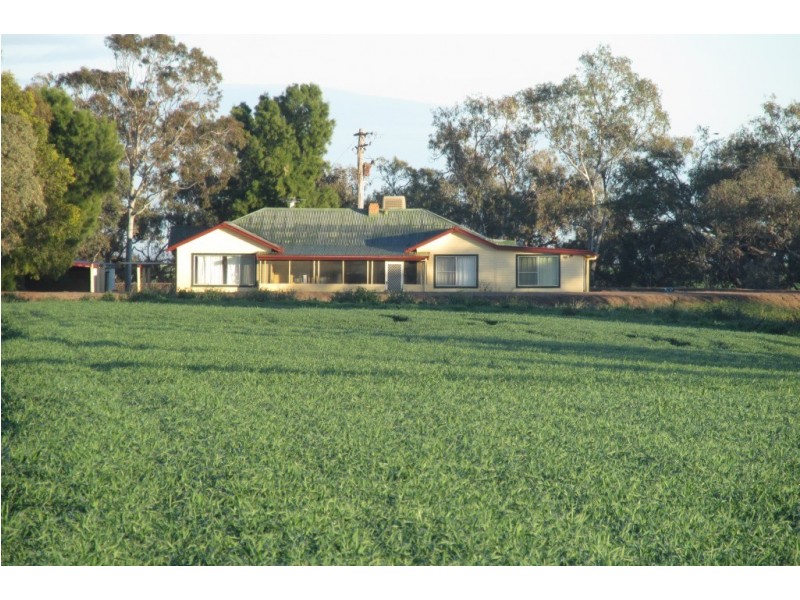 “Vieta” 123 Taringa Lane, Edgeroi NSW 2390