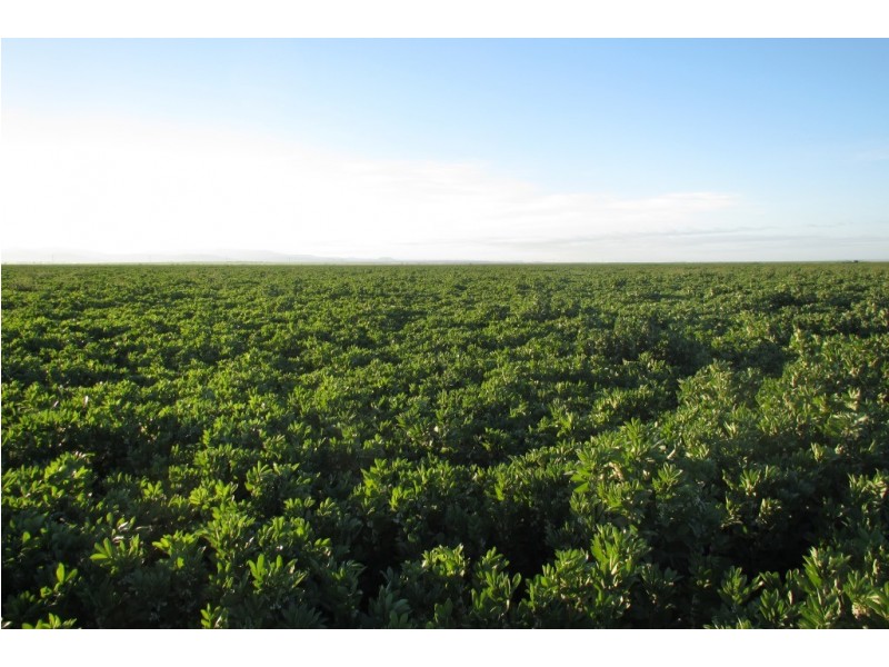 “Vieta” 123 Taringa Lane, Edgeroi NSW 2390