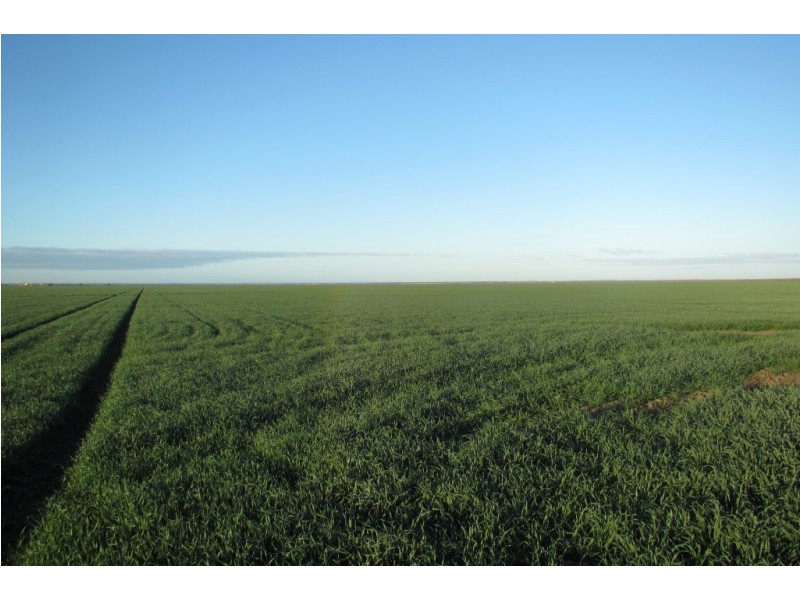 “Vieta” 123 Taringa Lane, Edgeroi NSW 2390