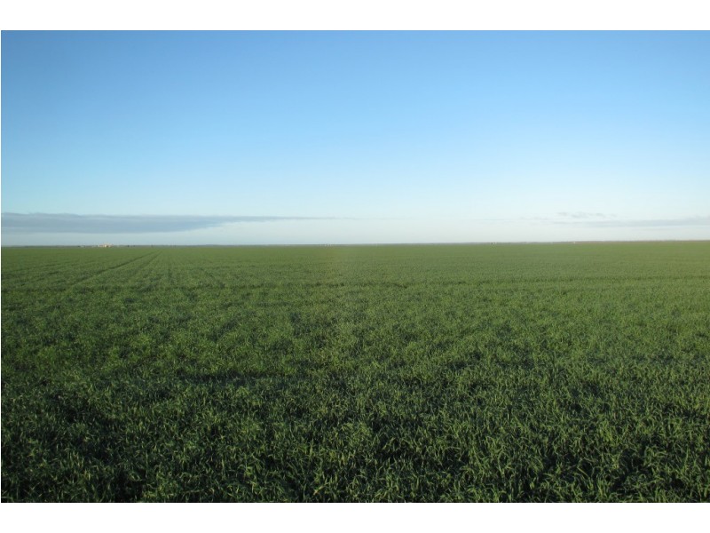 “Vieta” 123 Taringa Lane, Edgeroi NSW 2390