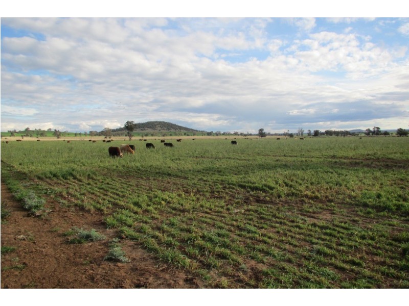 “Glen Alvion” Glencoe Road, Emerald Hill NSW 2380