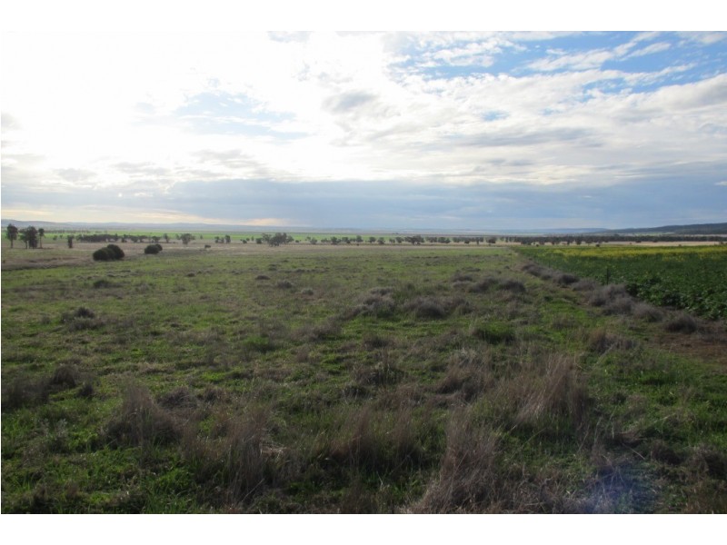 “Glen Alvion” Glencoe Road, Emerald Hill NSW 2380