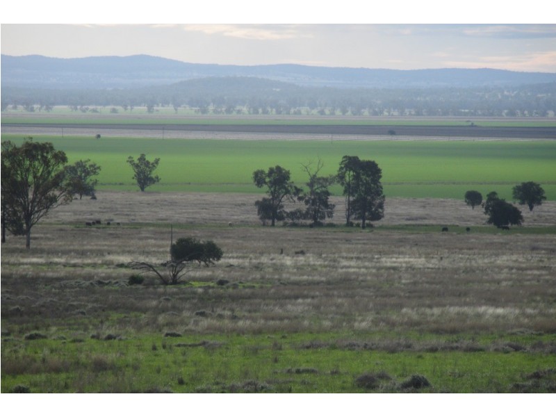 “Glen Alvion” Glencoe Road, Emerald Hill NSW 2380
