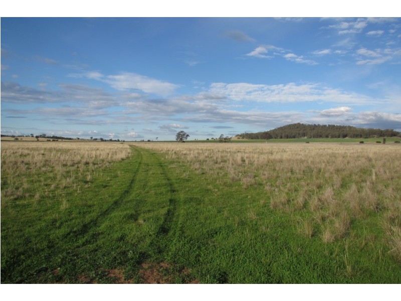 “Glen Alvion” Glencoe Road, Emerald Hill NSW 2380