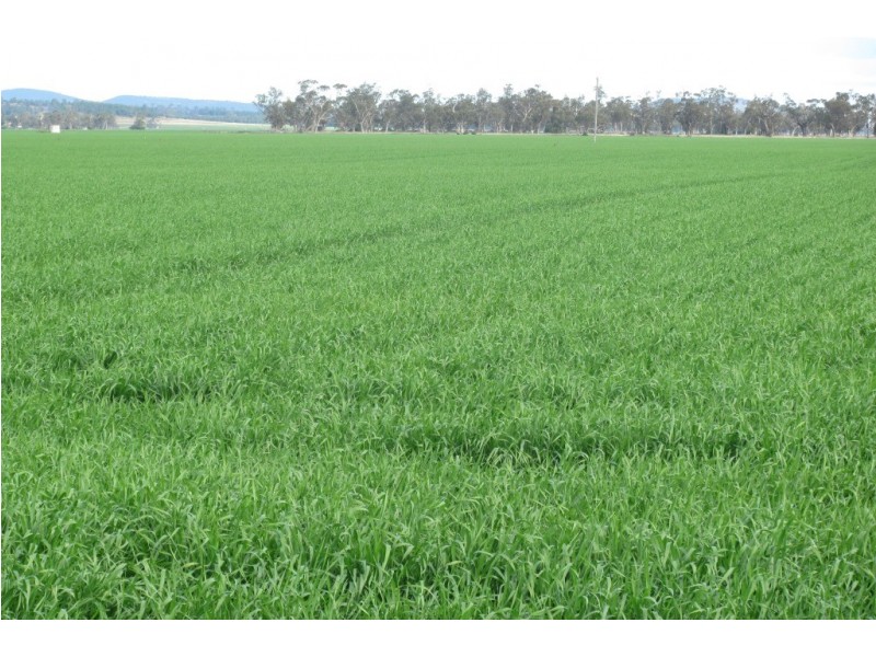 “Glencoe” Glencoe Road, Emerald Hill NSW 2380