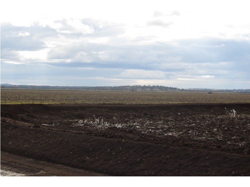 “Glencoe” Glencoe Road, Emerald Hill NSW 2380