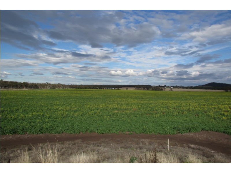 “Glencoe” Glencoe Road, Emerald Hill NSW 2380