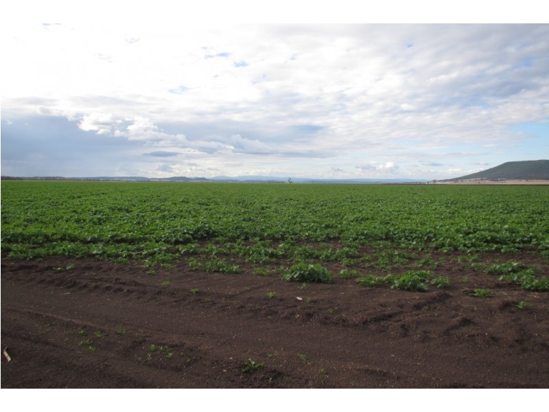 “Glencoe” Glencoe Road, Emerald Hill NSW 2380