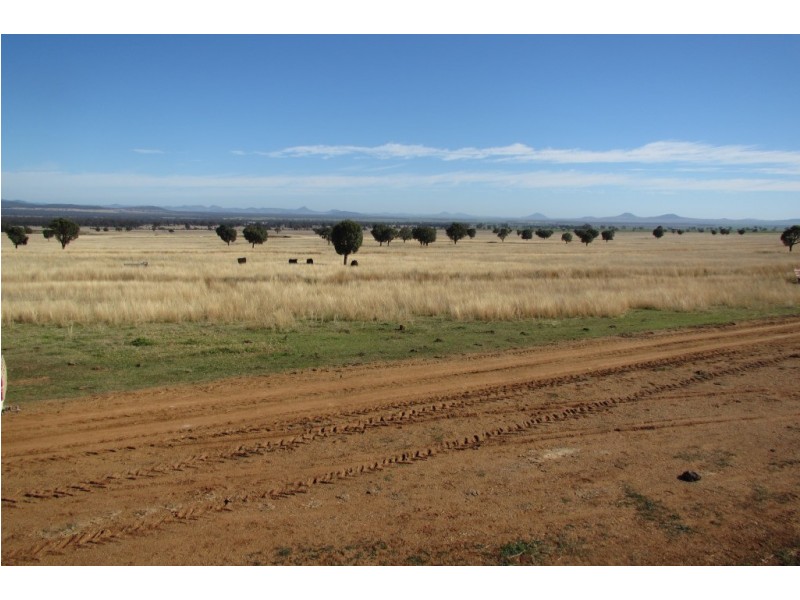 Kurrajong Park Spring Ridge, Gunnedah NSW 2380