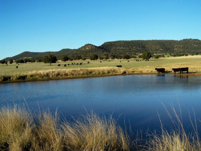 Kurrajong Park Spring Ridge, Gunnedah NSW 2380