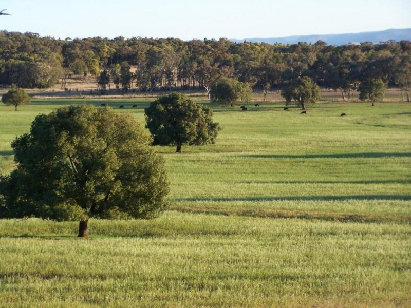 Kurrajong Park Spring Ridge, Gunnedah NSW 2380