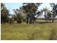 Kurrajong Park Spring Ridge, Gunnedah NSW 2380