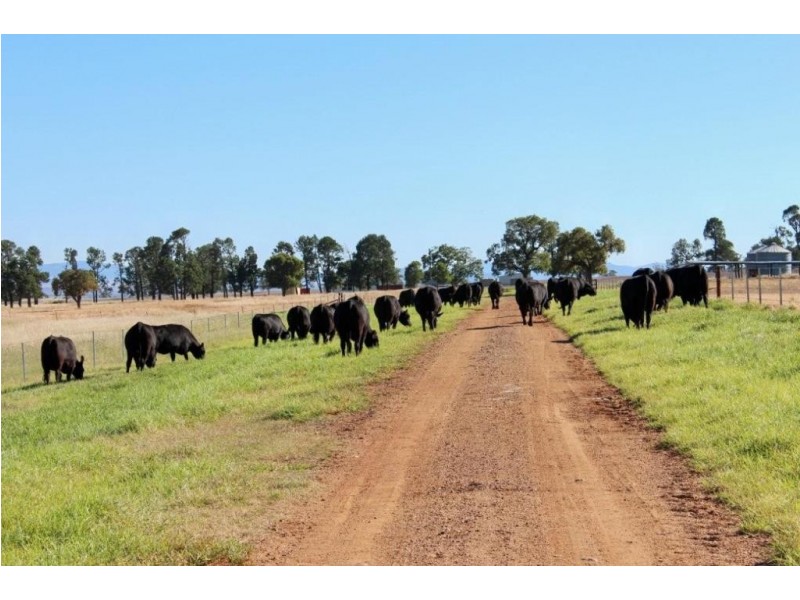 Kurrajong Park Spring Ridge, Gunnedah NSW 2380