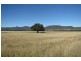 Dalman Downs Killarney Gap Road, Narrabri NSW 2390