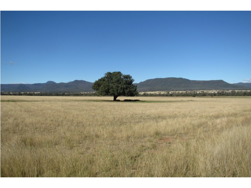 Dalman Downs Killarney Gap Road, Narrabri NSW 2390