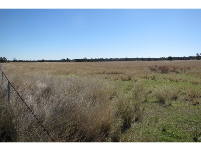 Dalman Downs Killarney Gap Road, Narrabri NSW 2390