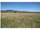 Dalman Downs Killarney Gap Road, Narrabri NSW 2390