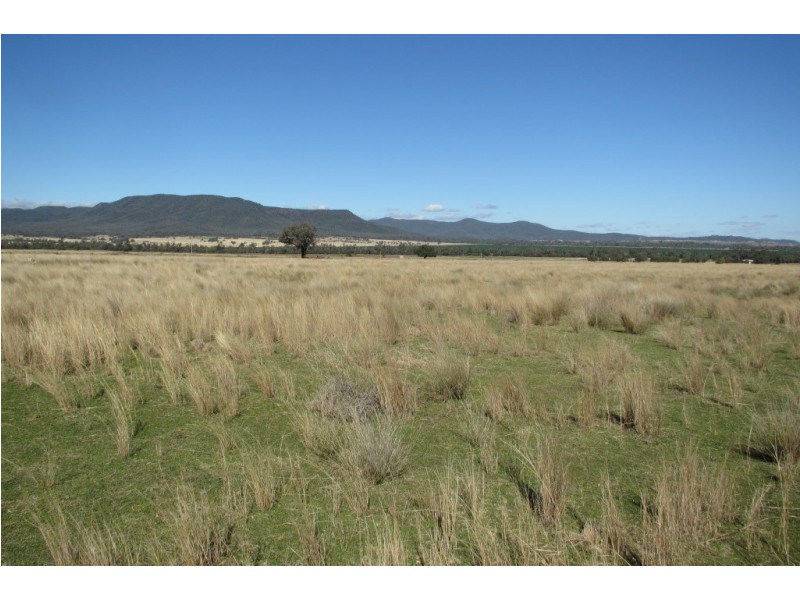 Dalman Downs Killarney Gap Road, Narrabri NSW 2390